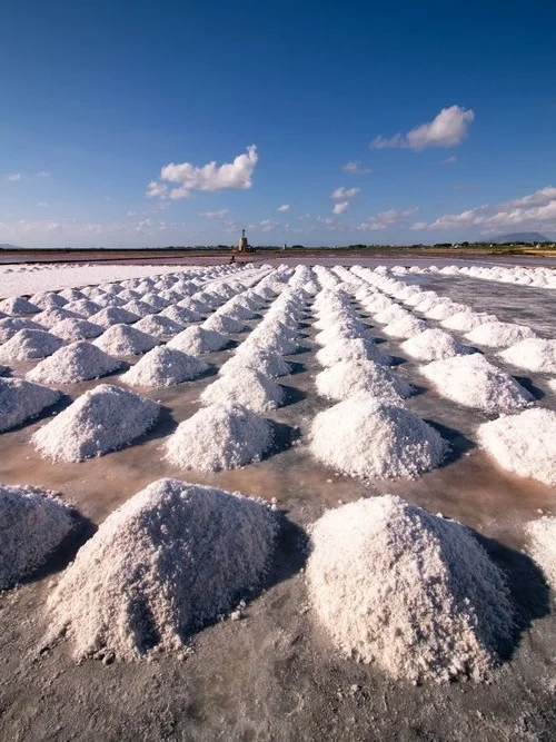 Saline, Marsala e Vini